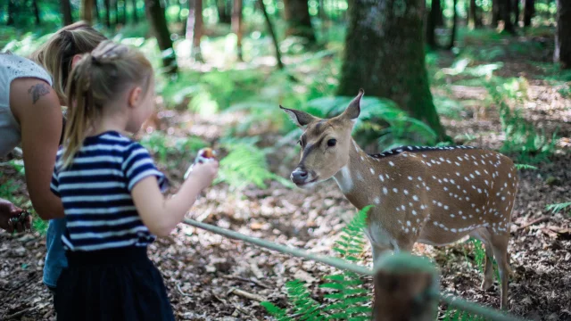 Domaine de Pescheray