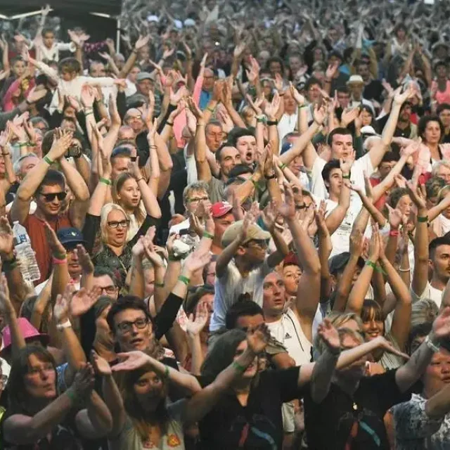 P31352668d5372382g 1